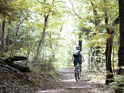Autumn & Winter Breeze Biking