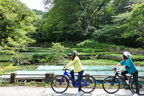 電動アシスト付クロスバイクレンタル