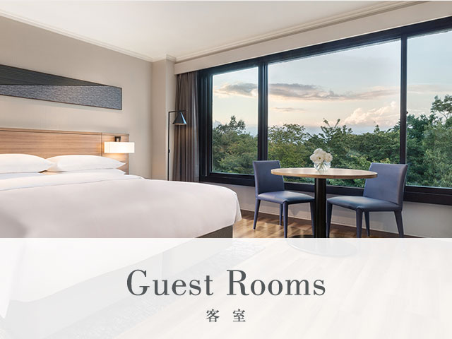 Guest Rooms 客室