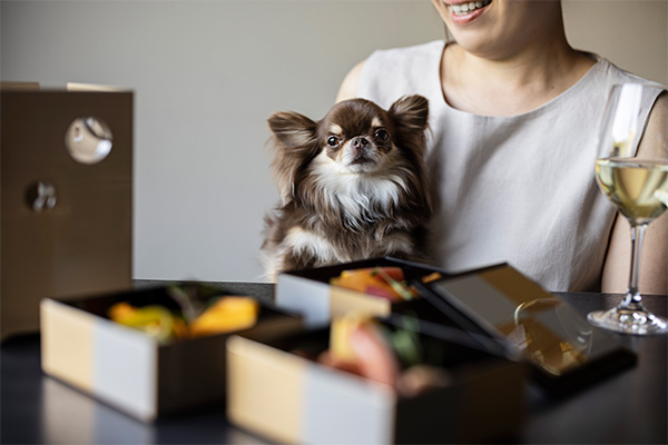 初めての愛犬旅を応援