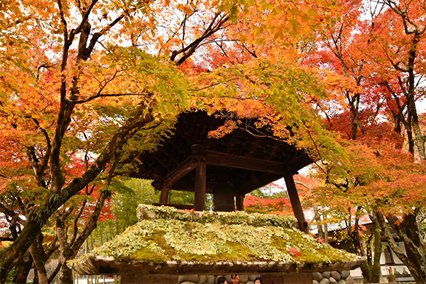 修禅寺