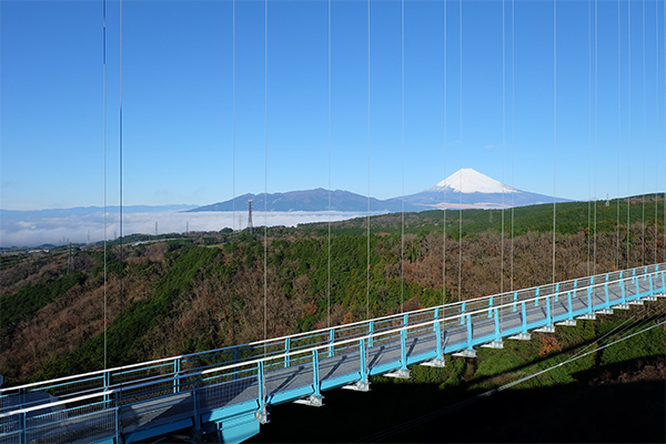 三島スカイウォーク