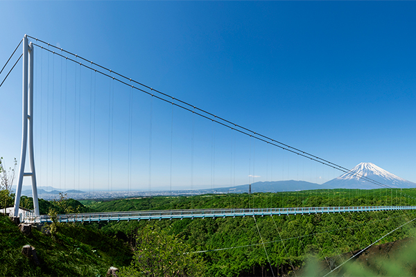 三島スカイウォーク